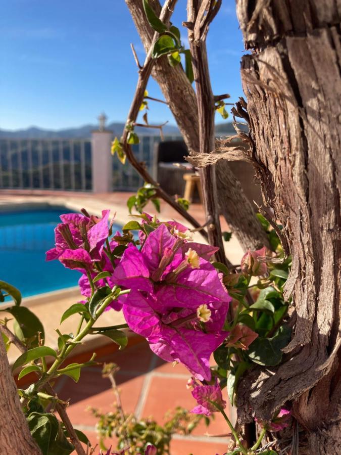 Bed and Breakfast Casa La Quinta Ríogordo Zewnętrze zdjęcie